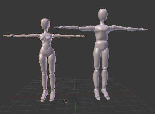 Human Basic Shapes- male and female basemesh preview image